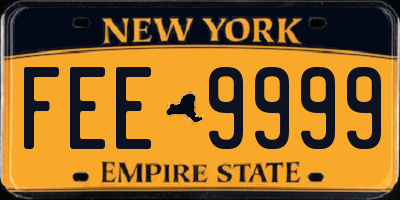 NY license plate FEE9999