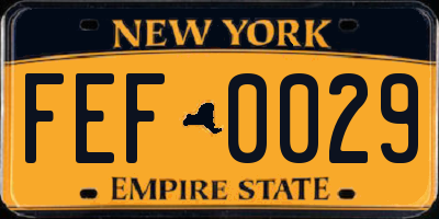 NY license plate FEF0029