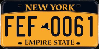 NY license plate FEF0061