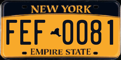 NY license plate FEF0081
