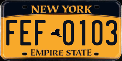 NY license plate FEF0103