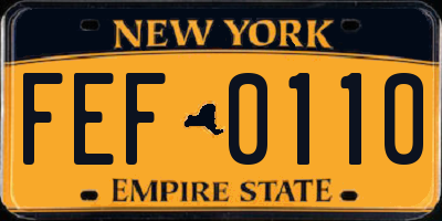 NY license plate FEF0110