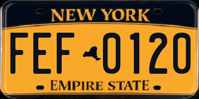 NY license plate FEF0120