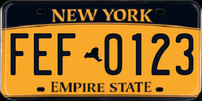 NY license plate FEF0123