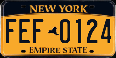 NY license plate FEF0124