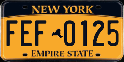 NY license plate FEF0125