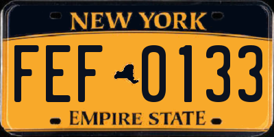 NY license plate FEF0133