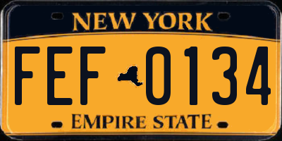 NY license plate FEF0134