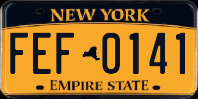NY license plate FEF0141