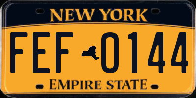 NY license plate FEF0144