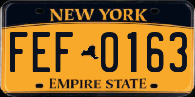 NY license plate FEF0163