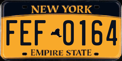 NY license plate FEF0164