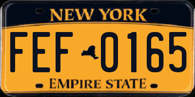 NY license plate FEF0165