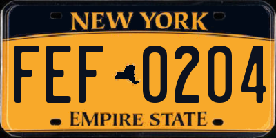 NY license plate FEF0204
