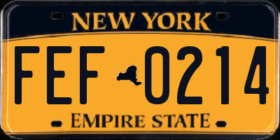 NY license plate FEF0214