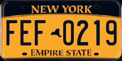NY license plate FEF0219