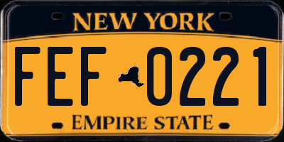 NY license plate FEF0221