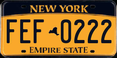 NY license plate FEF0222