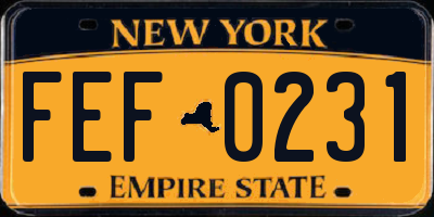 NY license plate FEF0231