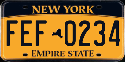 NY license plate FEF0234