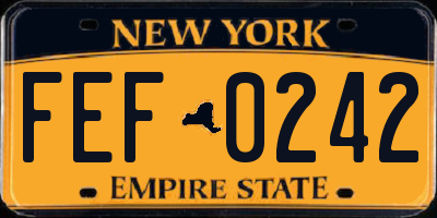 NY license plate FEF0242