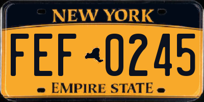 NY license plate FEF0245