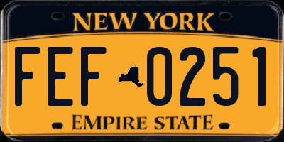 NY license plate FEF0251