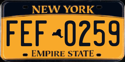 NY license plate FEF0259