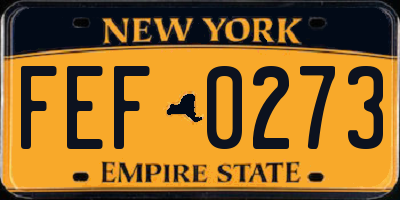 NY license plate FEF0273