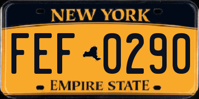 NY license plate FEF0290