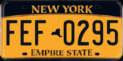NY license plate FEF0295