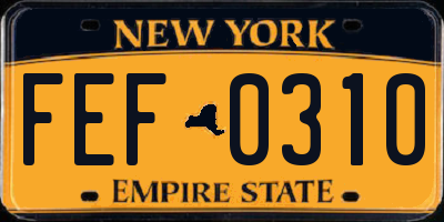 NY license plate FEF0310