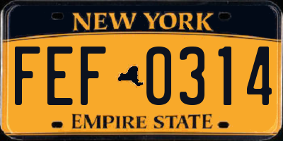 NY license plate FEF0314