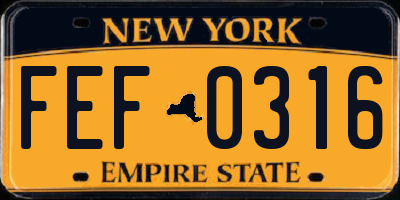 NY license plate FEF0316