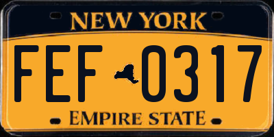 NY license plate FEF0317