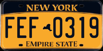 NY license plate FEF0319