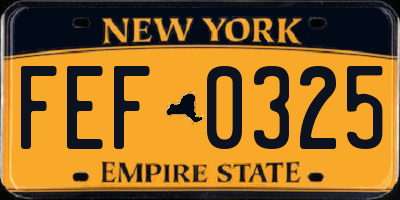 NY license plate FEF0325