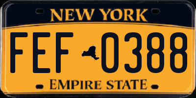 NY license plate FEF0388