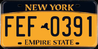 NY license plate FEF0391