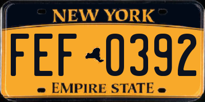 NY license plate FEF0392