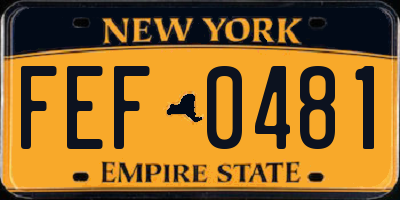 NY license plate FEF0481