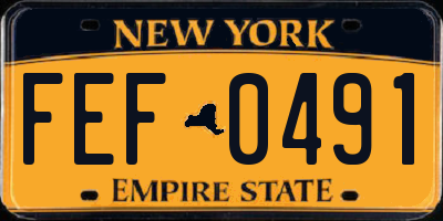 NY license plate FEF0491