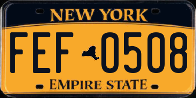 NY license plate FEF0508