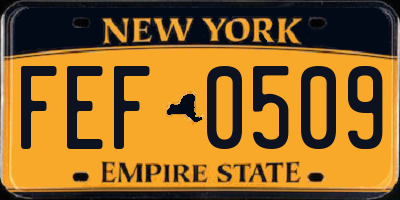 NY license plate FEF0509