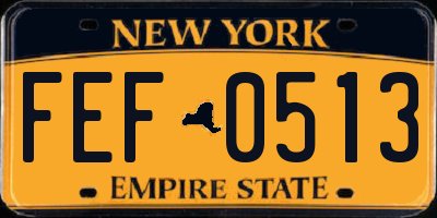 NY license plate FEF0513