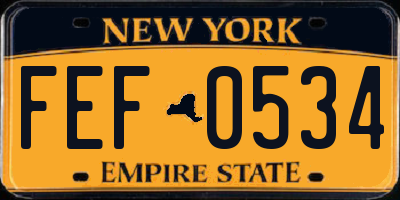NY license plate FEF0534