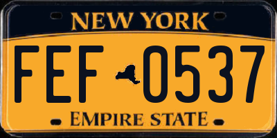 NY license plate FEF0537