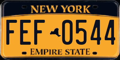NY license plate FEF0544