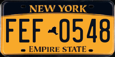 NY license plate FEF0548