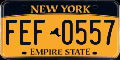 NY license plate FEF0557